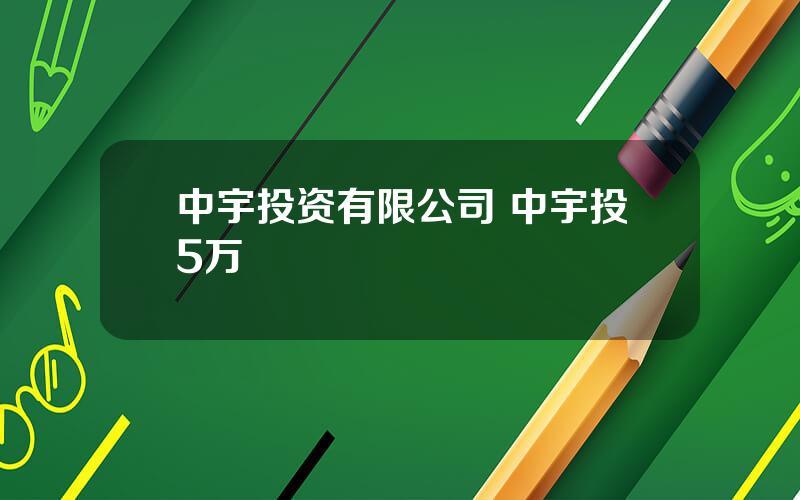 中宇投资有限公司 中宇投5万